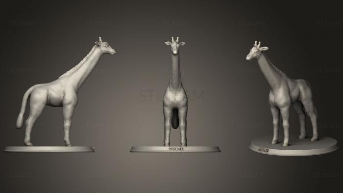 3D модель Жираф (STL)
